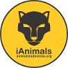 Animals Indonesia - Centre For Orangutan Protection - World Orangutan Events 
