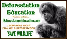 Deforestation Education - World Orangutan Events - World Orangutan Day - International Orangutan Day - #OrangutanDay 