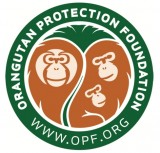 Orangutan Protection Foundation