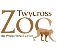 The Twycross Zoo The World Primate Centre - World Orangutan Events
