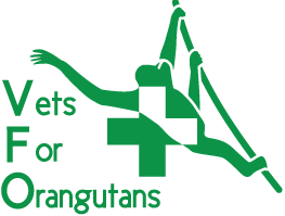 Vets 4 Orangutans - World Orangutan Events 