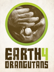 Earth 4 Orangutans - World Orangutan Events