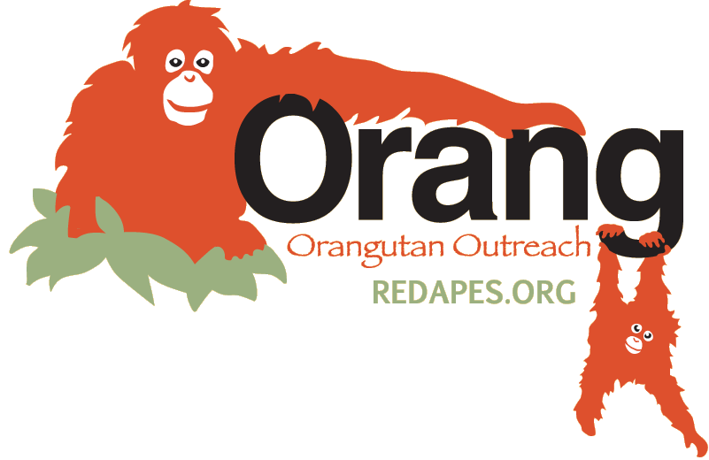 Orangutan Outreach- Red Apes- World Orangutan Events